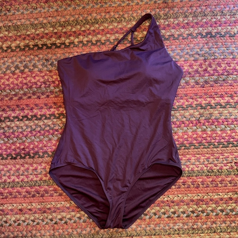 Andie Burgundy One-Shoulder One Piece Swimsuit
